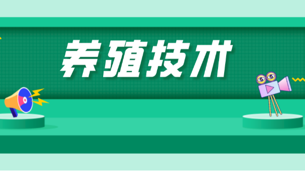 如何给“红”脸的池塘和“花”脸的池塘做美容？