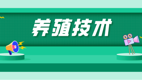 梅雨季水产养殖管理要点