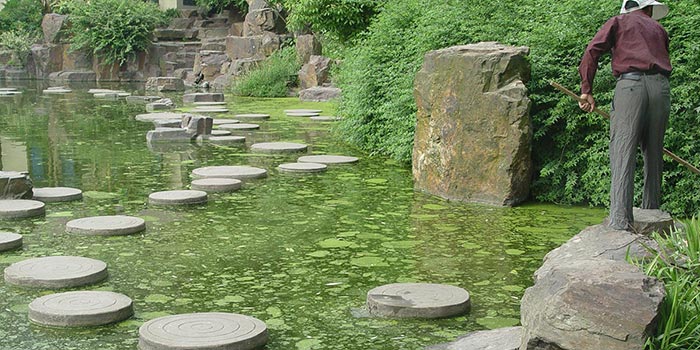 上海市曲阳公园景观水系污染治理方案
